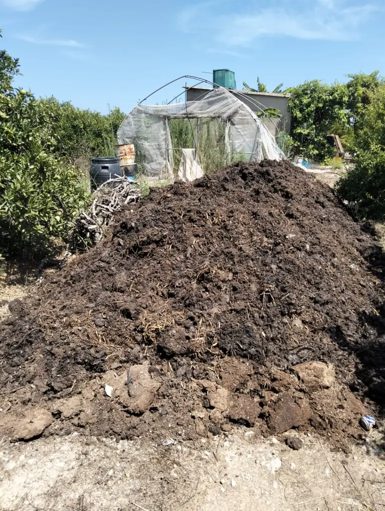 Montón de compost para abonar nuestros naranjos