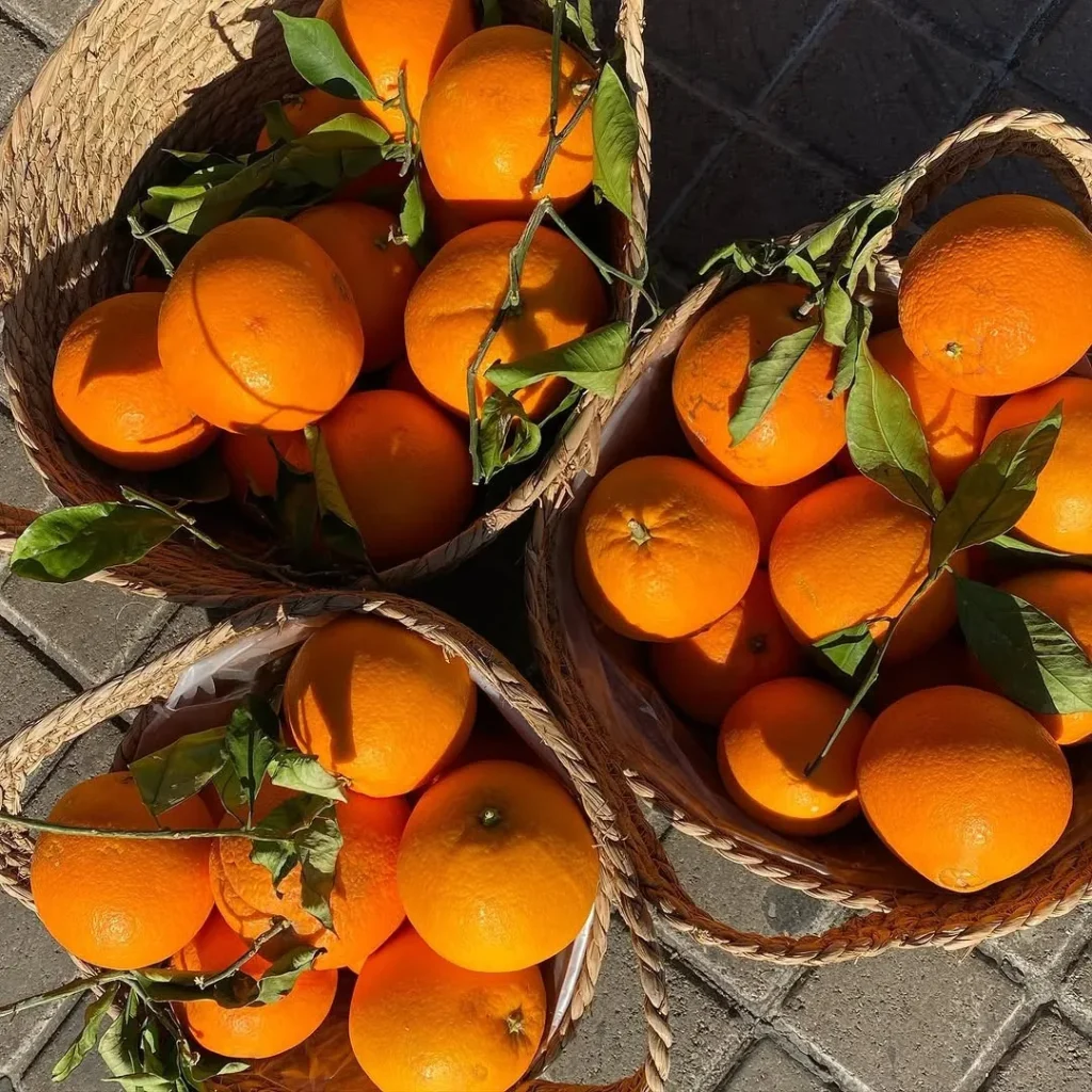 Capazos llenos de naranjas recién recogidas de nuestra finca, todavía con sus hojas verdes